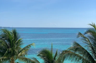 Da guadalajara a puerto vallarta con transfer privato, soste opzionali a tequila o sayulita e pickup direttamente in hotel incluso.