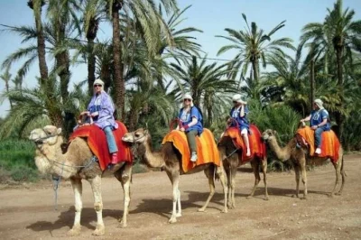 Ride a camel through marrakech’s palm grove with a local guide, visit berber villages, and share mint tea in a family home. includes pickup and drop-off.
