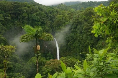 Scopri la cascata la fortuna, nuota nelle sue acque fresche e gusta un pranzo tradizionale costaricano alla fattoria la finquita. trasporto, ingresso e guida inclusi. prenota ora.