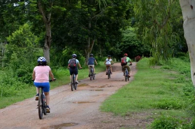 Pedal through chiang rai’s villages & rice fields to wat rong khun on a guided cycling tour. includes hotel pickup, lunch, and all equipment.