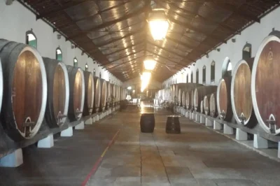 Explore sintra, colares e cascais em um tour particular de vinhos saindo de lisboa. transporte, guia local e degustações em vinícolas históricas. reserve já.