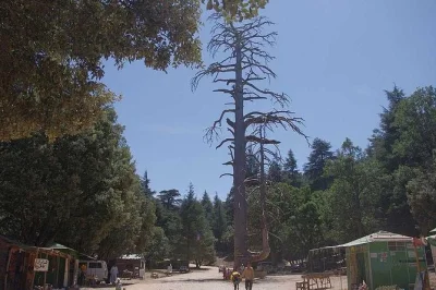 Scopri un’escursione privata da fez alle città del medio atlante con guida locale, trasporto climatizzato e passeggiate leggere. incluso il pick-up.