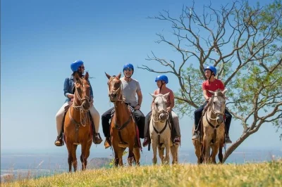 Scopri guanacaste con zipline, scivolo d’acqua e sorgenti termali accompagnato da una guida locale. include pick-up in hotel, pranzo e tutte le attività. prenota ora.