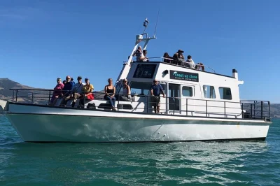 Meet local skipper tony and explore akaroa’s wildlife-rich harbour on a small-group cruise. includes all fees and taxes. book your spot today.
