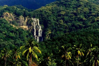 Scopri la fauna del mikumi national park e le cascate di udzungwa in un tour di 3 giorni da dar es salaam. include pick-up in hotel, guida locale e pranzo.