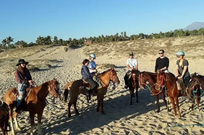 Vivi un giro a cavallo lungo playa la cachora a todos santos con una guida locale. include sella e attrezzatura completa. prenota ora la tua avventura in spiaggia.