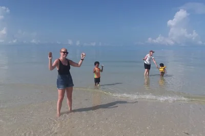 Découvrez les 10 000 îles des everglades en bateau et à pied avec un naturaliste local. petit groupe, guide expert, arrêt sur une île-barrière. réservez vite.