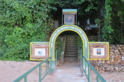 Explore o parque nacional gombe em um trekking guiado para avistar chimpanzés, macacos e aves. inclui água mineral e guia especializado. reserve sua aventura agora.