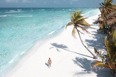 Nade nas águas cristalinas de isla contoy, faça snorkel no recife e explore isla mujeres com guia local. inclui open bar, almoço buffet e traslado do hotel.