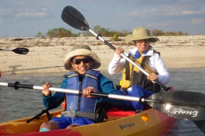 Découvrez les everglades en bateau, kayak et à pied avec un guide naturaliste local. matériel fourni, randonnée guidée et transport inclus. réservez vite votre place.
