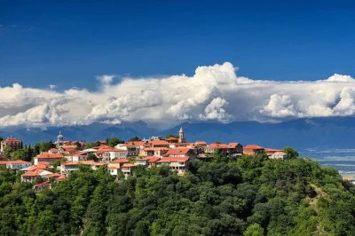 Descubra a culinária, vinhos e história da geórgia em kakheti, kazbegi e mtskheta com guia local. inclui aula prática, visita a vinícolas e transfer do hotel.
