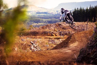 Esplora la foresta di whakarewarewa a rotorua con un tour in mountain bike autonoma. noleggio bici di qualità, casco e supporto locale inclusi.