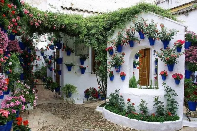 Walk through córdoba’s private patios during the festival, meet locals, and taste montilla-moriles wine with a guide. includes entry and local insights.