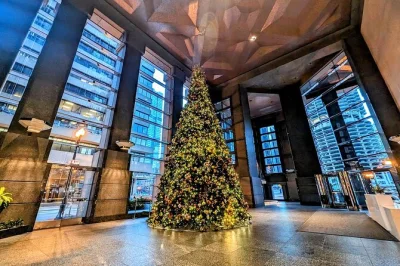Descubre chicago en navidad con un guía local, admira árboles icónicos, prueba dulces de temporada y recorre las mejores decoraciones del centro. reserva ya.