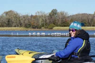 Kayak the tennessee river near chattanooga to see sandhill cranes up close. includes gear, binoculars, and a friendly local guide. book your spot today.