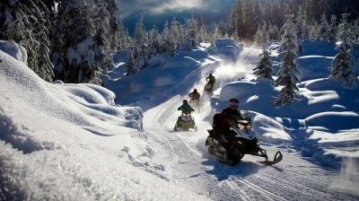 Explore rovaniemi de snowmobile, conheça renas e experimente um trenó puxado por huskies. inclui transporte, roupas de inverno e guia local. garanta sua aventura na lapônia!
