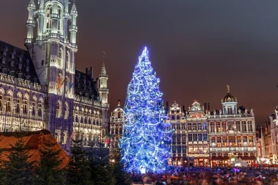 Conheça bruxelas iluminada para o natal em um passeio de ônibus com guia ao vivo e depois explore a pé com tootwalks. inclui chocolate quente grátis.