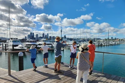 Entdecke auckland, piha beach und den waitakere regenwald mit lokalem guide. inkl. hoteltransfer, snacks und flexiblem ablauf.