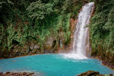 Esplora il parco nazionale del vulcano tenorio e scopri la cascata blu di río celeste con guida locale, trasferimento dall’hotel e pranzo incluso. prenota ora.