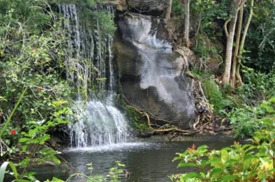 Wander grand bahama’s city streets and tranquil gardens with a local guide. includes cruise port pickup, entry fees, and time at port lucaya marketplace.