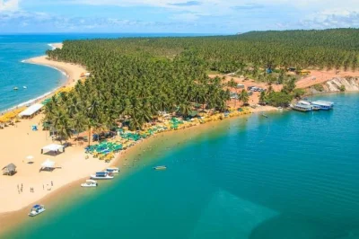 Découvrez barra de são miguel et détendez-vous sur la plage de gunga, sur la côte sud de maceió. transport climatisé, guide local et prise en charge flexible inclus. réservez vite.