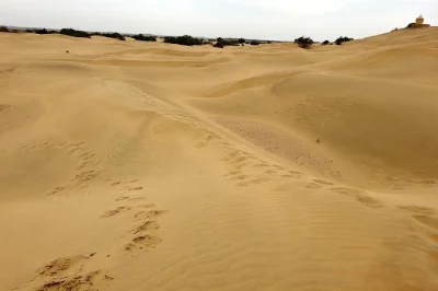 Entdecken sie jaisalmer an einem tag – besuchen sie das goldene fort, patwa haveli, den gadisar see und mehr. privater wagen, erfahrener guide und alle gebühren inklusive.