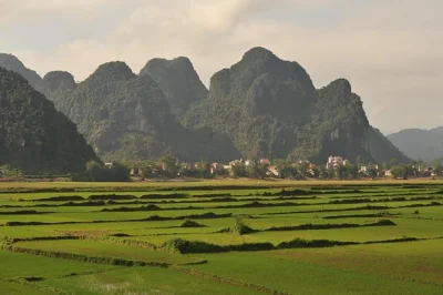 Journey through phong nha-ke bang national park to explore paradise cave and phong nha cave with a local guide. includes hotel pickup and all entry fees.