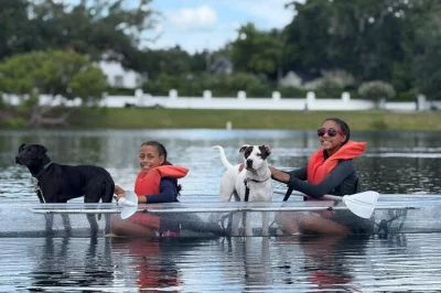 Scopri orlando dal lago ivanhoe con il tuo cane su kayak o paddleboard stabili. tutto l’equipaggiamento incluso, giubbotti di salvataggio e guida locale esperta. prenota ora.