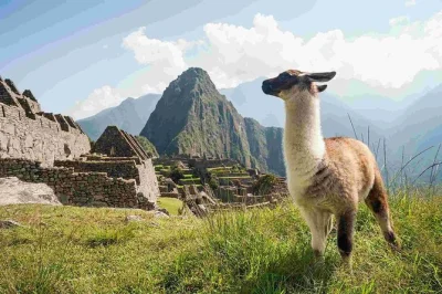 Experience cusco, machu picchu, and rainbow mountain with a local guide. includes hotel pickup, city tour, and all transfers. reserve your spot today.