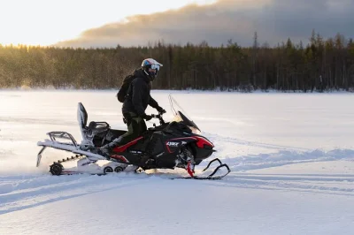 Aventure-se pelas florestas da lapônia em um passeio de snowmobile de dia inteiro saindo de rovaniemi. inclui traslado, roupa térmica, guia local e almoço com churrasco na fogueira.