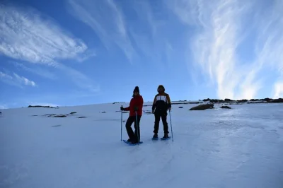 Scopri i sentieri innevati della sierra nevada partendo da granada con una guida locale. trasporto privato, attrezzatura, snack e foto professionali inclusi. prenota subito.