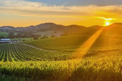 Experience napa valley’s wineries with a local guide and private photographer. includes luxury suv, snacks, and all your photos. book now for pickup.