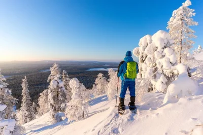 Explore as florestas selvagens da lapônia perto de rovaniemi com caminhada de raquetes de neve. inclui traslado, roupas de inverno, lanches e guia local simpático. reserve já!