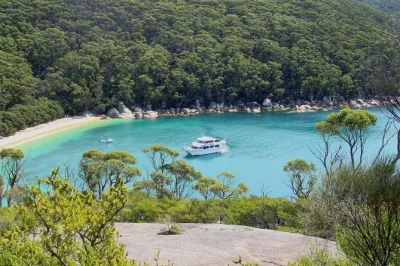 See wilsons promontory by boat with a local guide, including the lighthouse, skull rock, seal sanctuary, and refuge cove. lunch and snacks included.