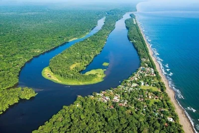 Descubra os canais, a vida selvagem e a vila colorida de tortuguero com guia particular. inclui passeio de barco, almoço e transporte em san jose. reserve já.