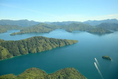 See marlborough sounds from above on a 20-minute scenic flight with a local guide. includes guided commentary and easy access from picton. book now.