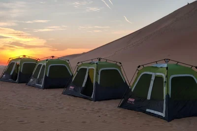 Camp overnight in abu dhabi’s liwa oasis with a local guide. includes 4x4 pickup, bbq dinner, breakfast, and sunrise views. book your desert escape now.