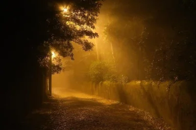 Scopri sintra di notte con uno storico locale: leggende antiche, viste sul palazzo nazionale illuminate dalla luna e percorsi tra le montagne senza folla. prenota ora.