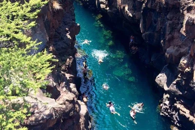 Nagez avec les otaries, observez requins et oiseaux, et découvrez la côte sauvage de santa cruz lors d’une balade en baie aux galápagos. snacks, guide bilingue et transport inclus.