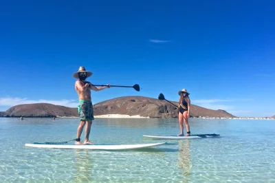 Nuota con i leoni marini, fai snorkeling e paddleboard a isola espiritu santo vicino a la paz. pranzo sulla spiaggia e guida locale inclusi. prenota ora.