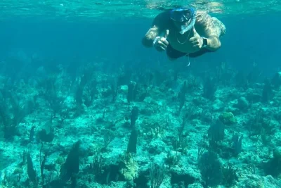 Nassau, nado con tortugas, snorkel en arrecifes de coral y relax en rose island con guía local. incluye equipo, bebidas y paseo en bote. reserva ya.
