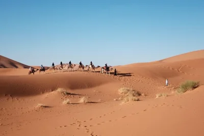 Travel from marrakech to fes through the sahara desert, with a private guide, camel ride, and overnight in a luxury camp. includes pickup and local meals.