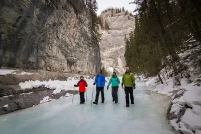 Cammina sul ruscello ghiacciato di grotto canyon con una guida locale, scopri antiche pitture rupestri e cascate di ghiaccio, con transfer, ramponi, cioccolata calda e snack inclusi.