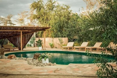 Partez de zanzibar pour un safari de 2 jours à tarangire et ngorongoro. transferts, guide local, repas et vols compris. réservez votre aventure dès maintenant.