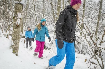 Escursione con racchette da neve nel parco nazionale jacques-cartier vicino a quebec city con guida locale. include attrezzatura, pranzo in un tipico riscaldato e trasporto andata e ritorno.