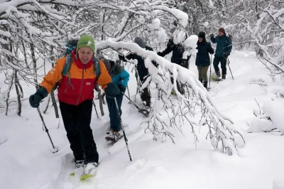 Walk through snowy forests on tromsøya island with a local guide, hot drinks, and pickup included. book your guided snowshoe tour in tromsø now.