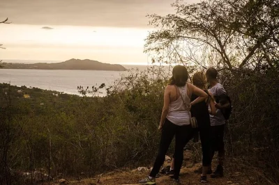 Escursione a monkey mountain da san pancho con guida locale. trasporto privato e snack inclusi. prenota ora per scoprire il lato selvaggio della riviera nayarit.
