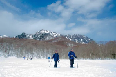Explore trilhas de cedros antigos e um lago congelado em togakushi, nagano, com guia local. inclui aluguel de raquetes, pausa para café e seguro. reserve já.
