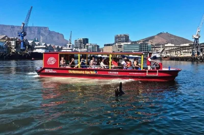 Descubre el puerto v&a de cape town desde el agua con guía local, comentarios en vivo y avistamiento de focas. incluye auriculares para escuchar claro. reserva tu crucero ya.