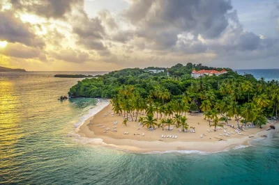 Boat through samaná bay, spot whales, and relax on cayo levantado’s beaches. includes local guide, private transport, and dominican lunch. book now.